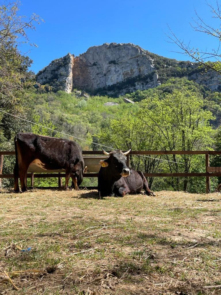 Agricamping Le Terrazze Ξενοδοχείο Orco Feglino Εξωτερικό φωτογραφία